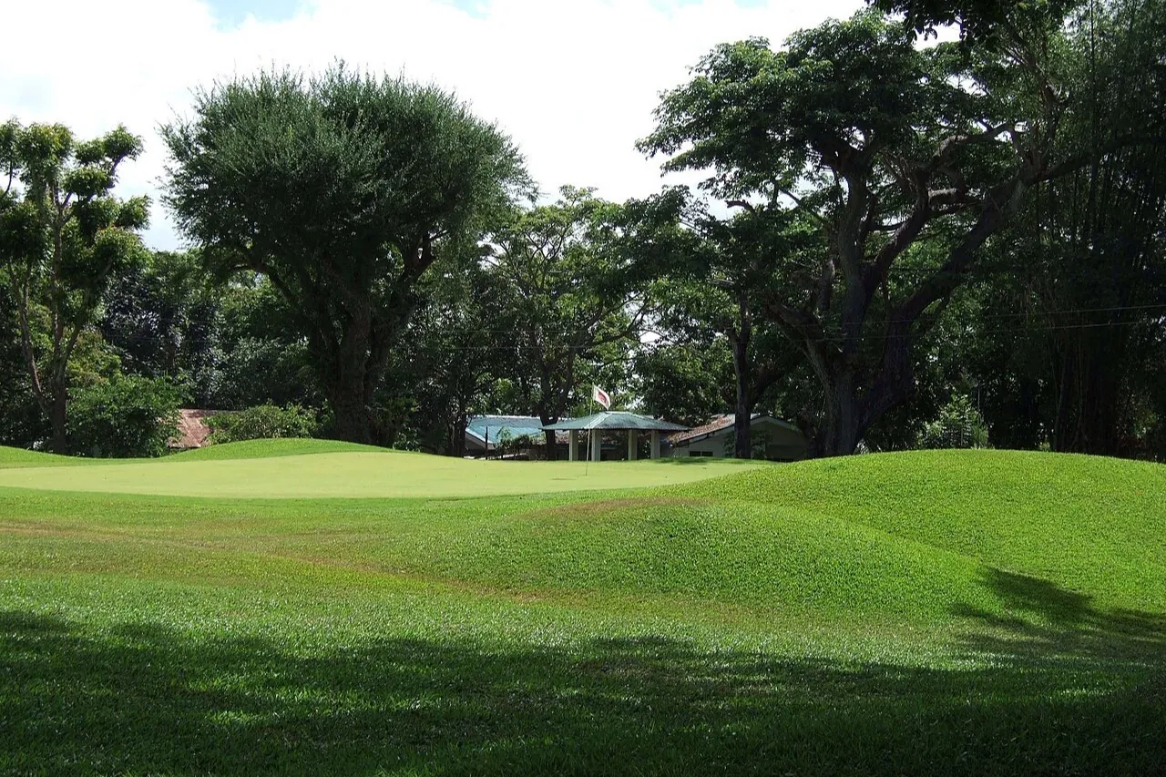 Iloilo Golf & Country Club のグリーンとピン