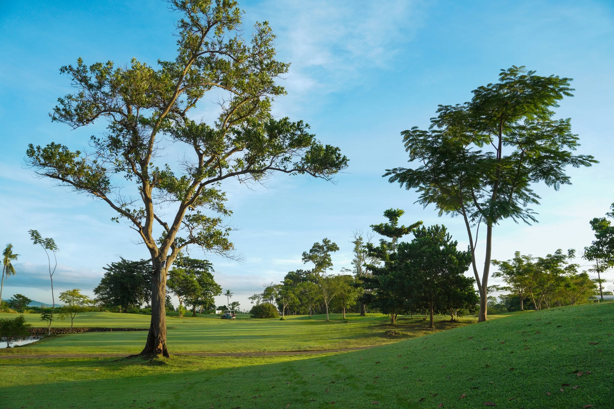 Negros International Golf & Country Club 3