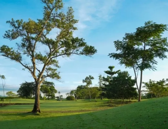 Negros International Golf & Country Club